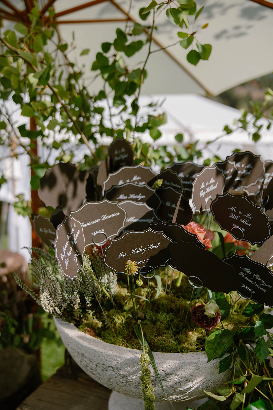 Die-cut escort cards gathered in a footed stone bowl amid greenery.