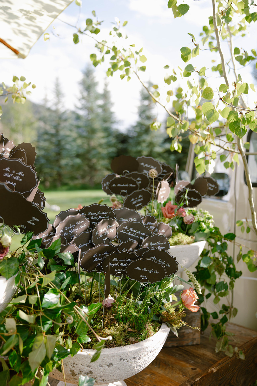 Escort cards tucked into a footed bowl against a backdrop of aspens and greenery.